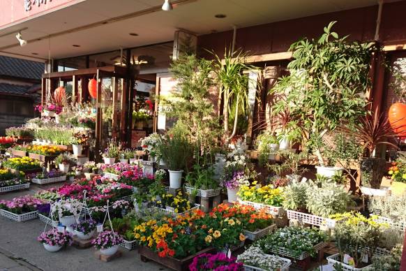 「花わたひき」　（茨城県東茨城郡城里町）の花屋店舗写真1